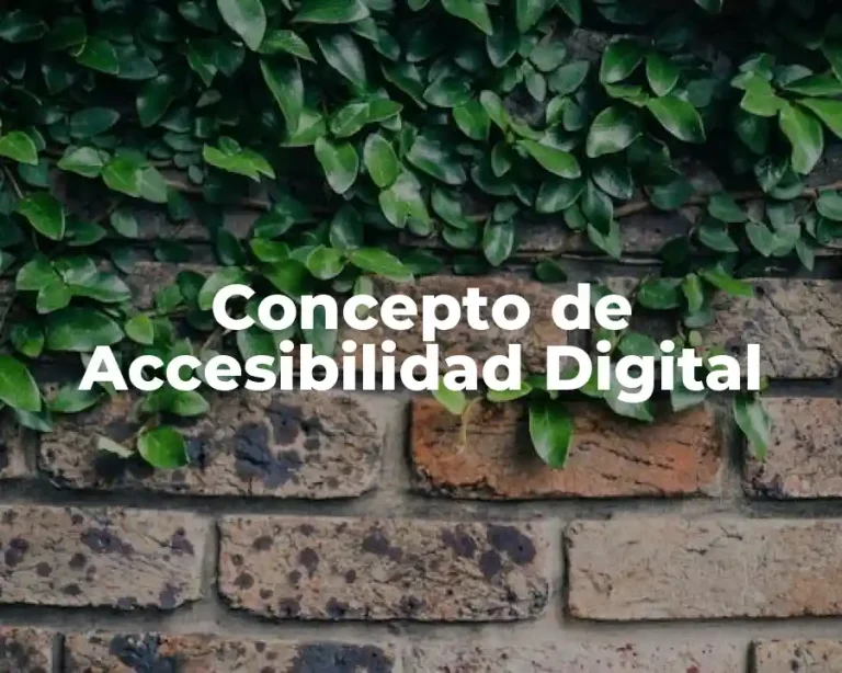 Concepto de Accesibilidad Digital