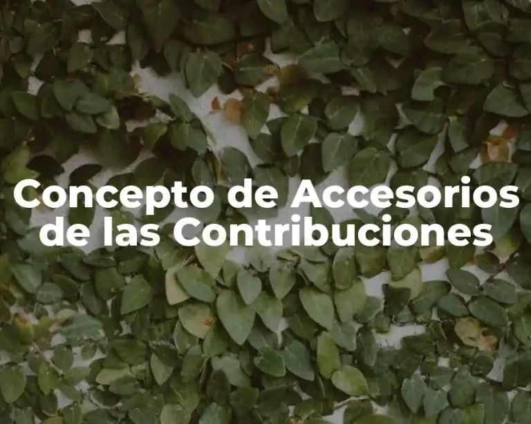 Concepto de Accesorios de las Contribuciones
