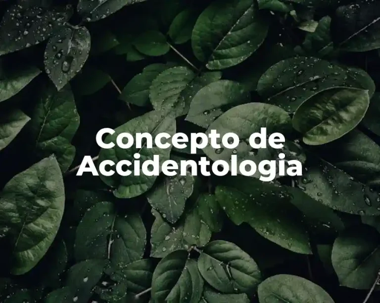 Concepto de Accidentologia