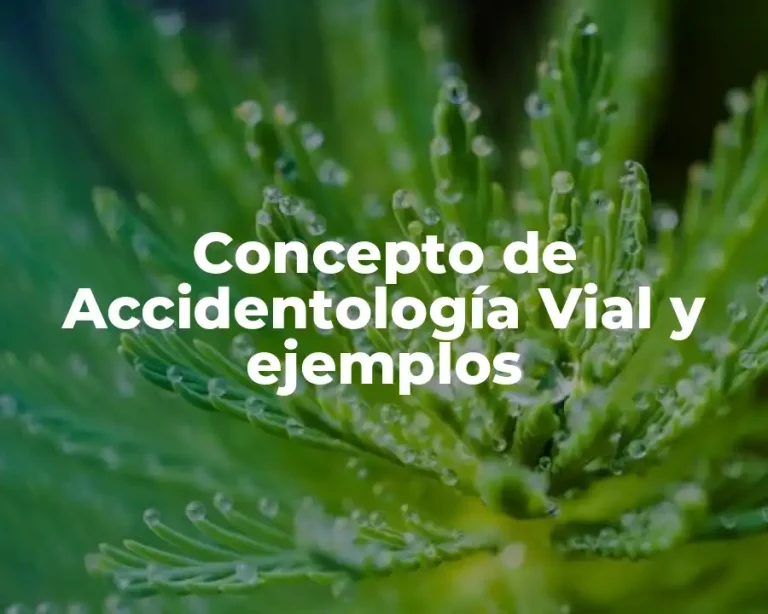 Concepto de Accidentología Vial y ejemplos