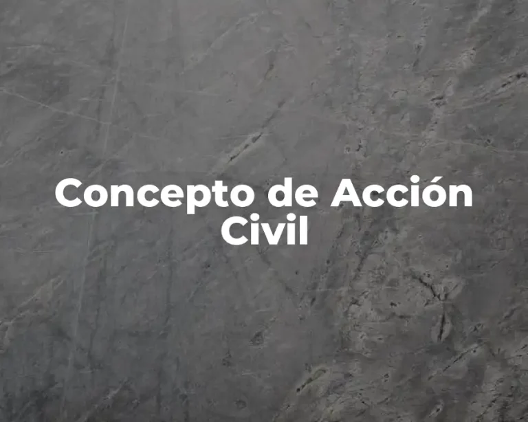 Concepto de Acción Civil