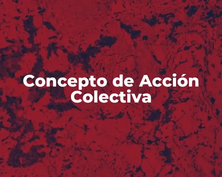 Concepto de Acción Colectiva
