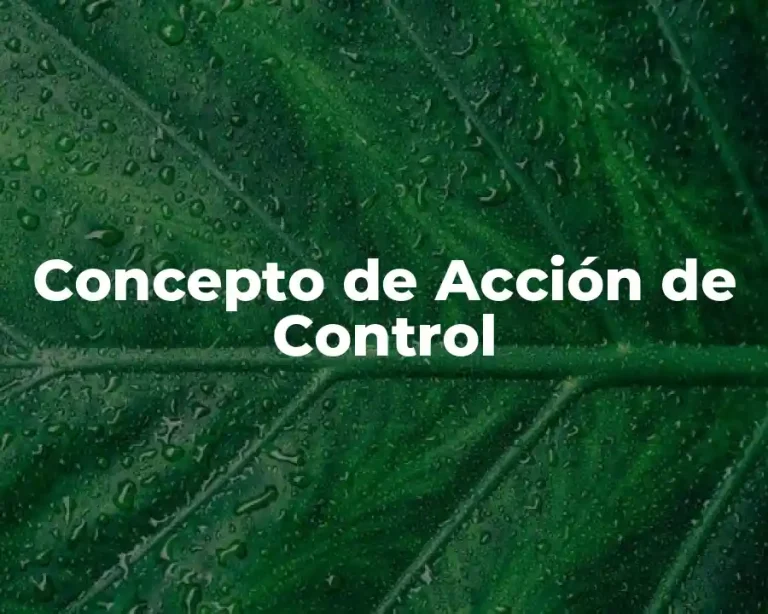 Concepto de Acción de Control