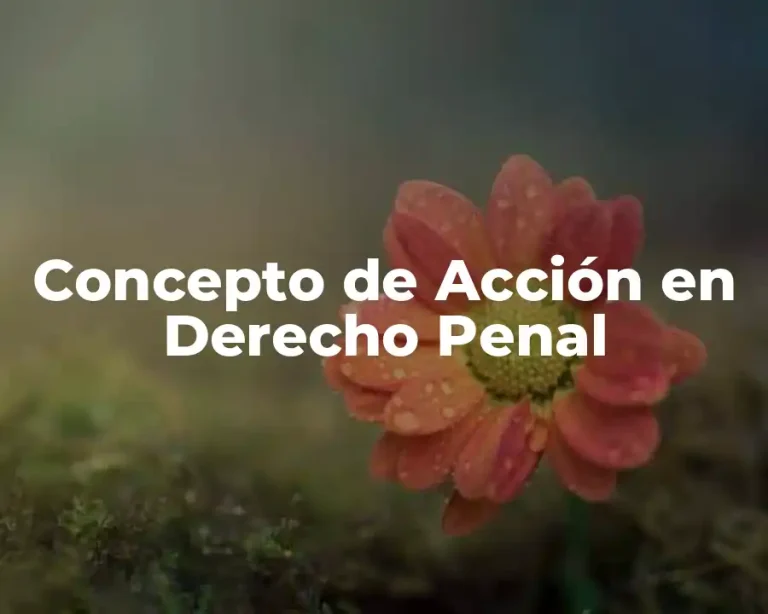 Concepto de Acción en Derecho Penal