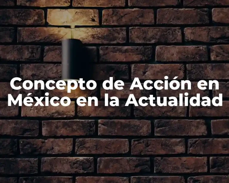 Concepto de Acción en México en la Actualidad