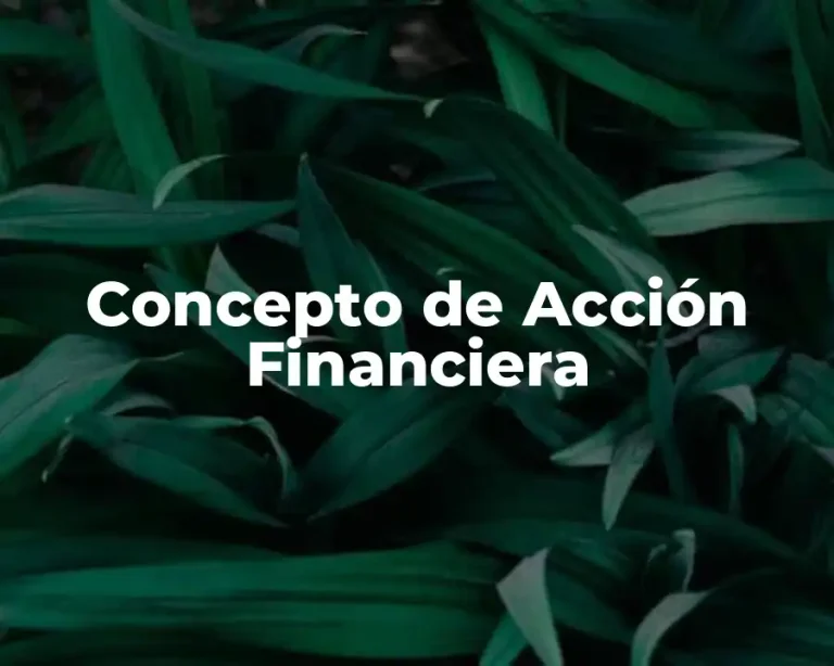 Concepto de Acción Financiera