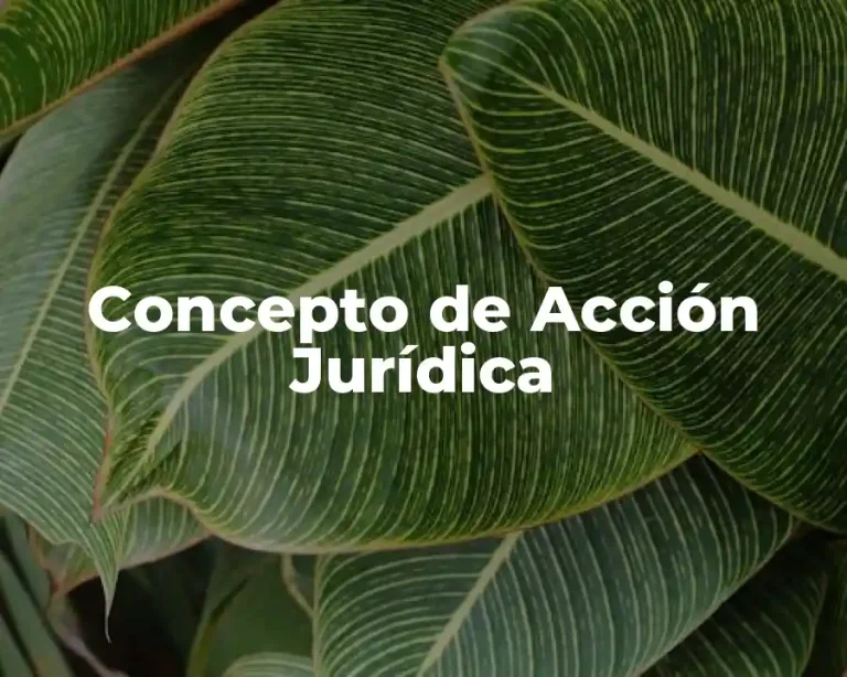 Concepto de Acción Jurídica