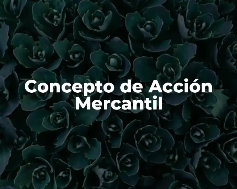 Concepto de Acción Mercantil