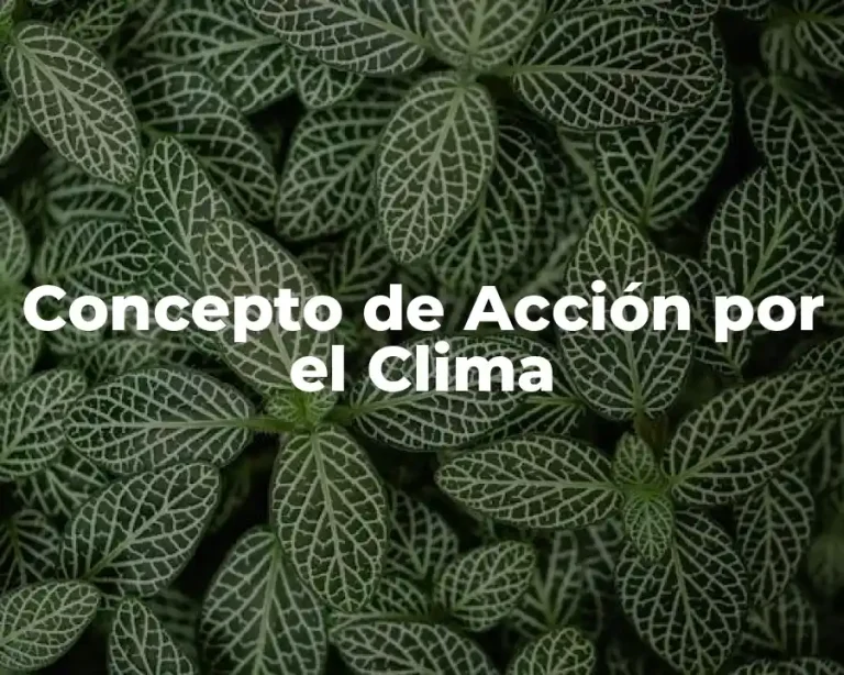 Concepto de Acción por el Clima