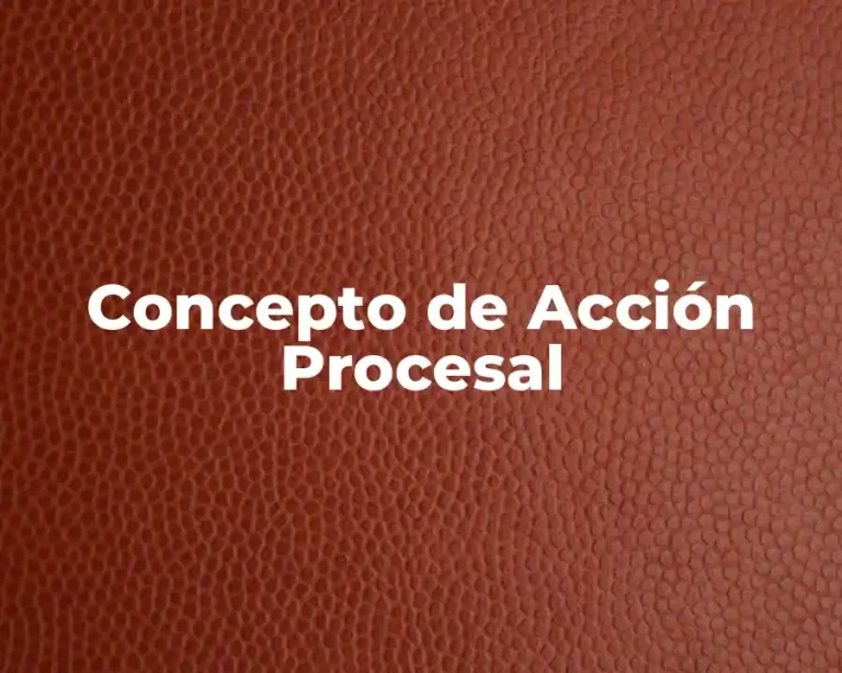 Concepto de Acción Procesal