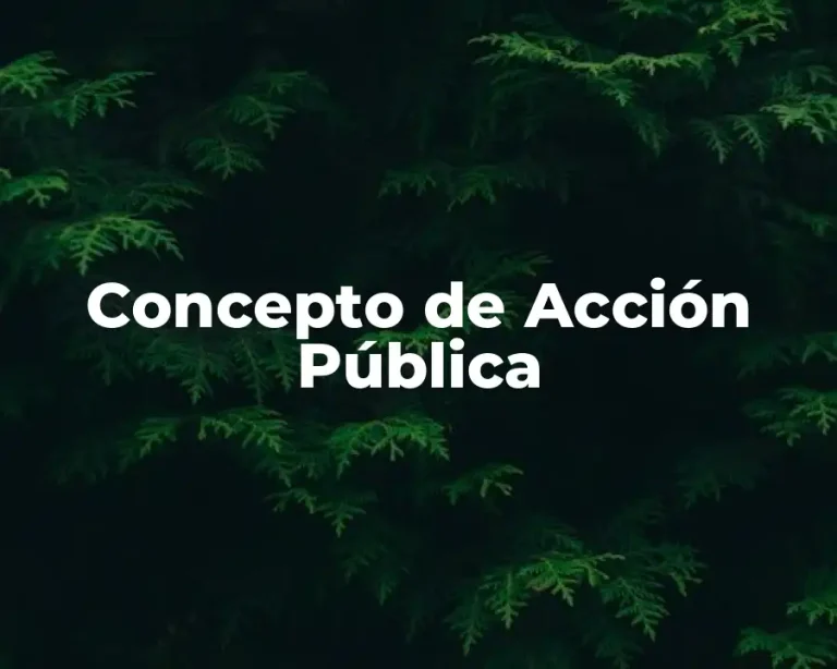 Concepto de Acción Pública