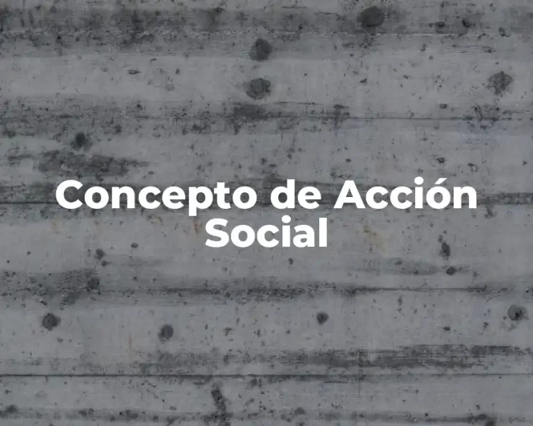 Concepto de Acción Social