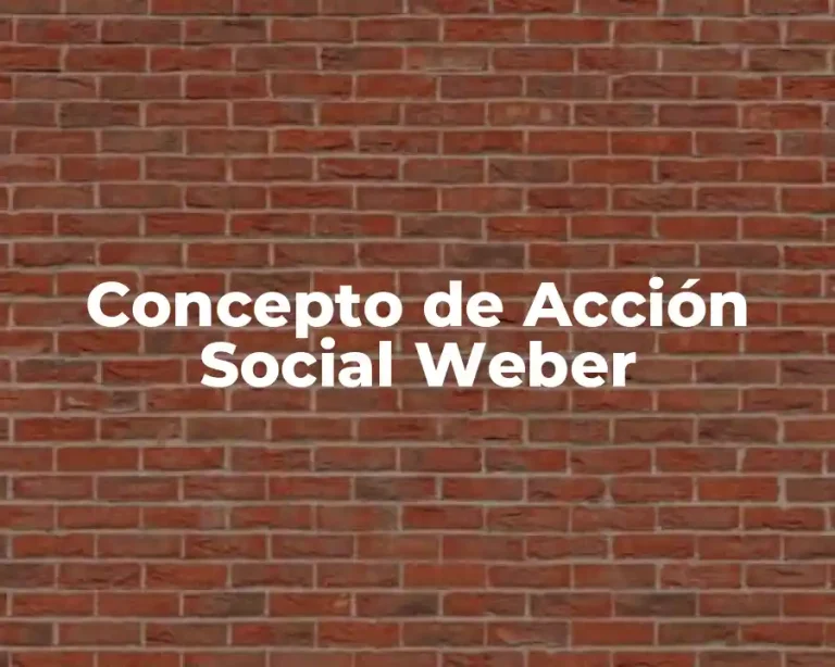 Concepto de Acción Social Weber