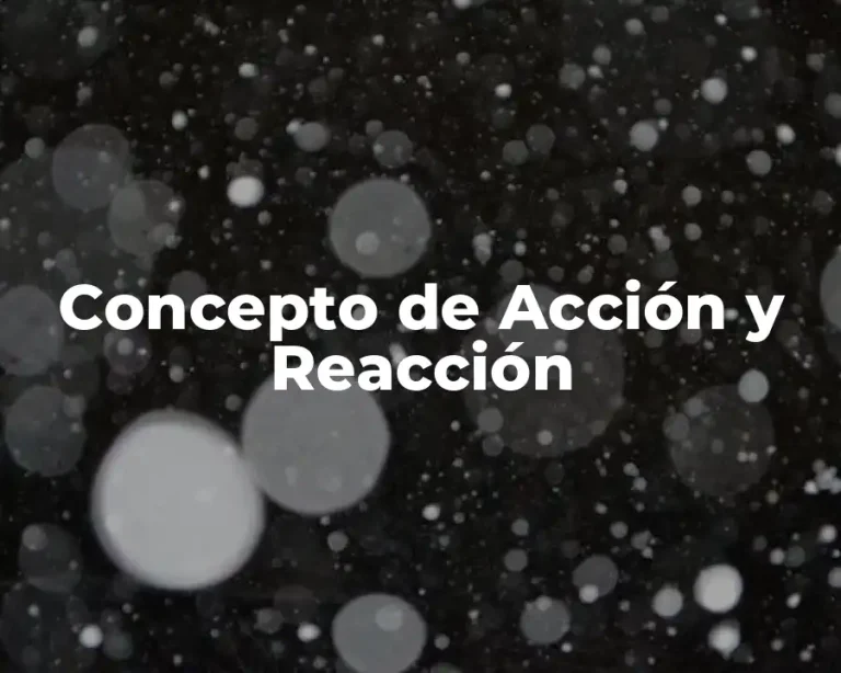 Concepto de Acción y Reacción