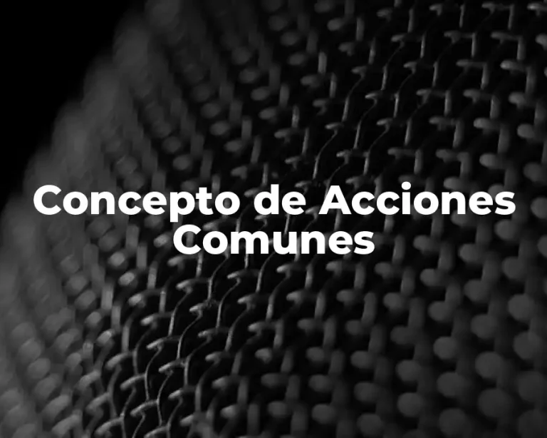 Concepto de Acciones Comunes