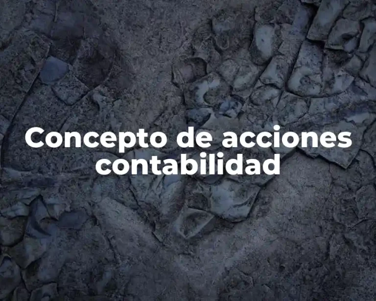 Concepto de acciones contabilidad