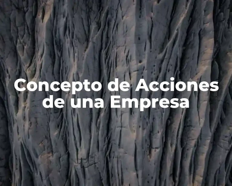 Concepto de Acciones de una Empresa