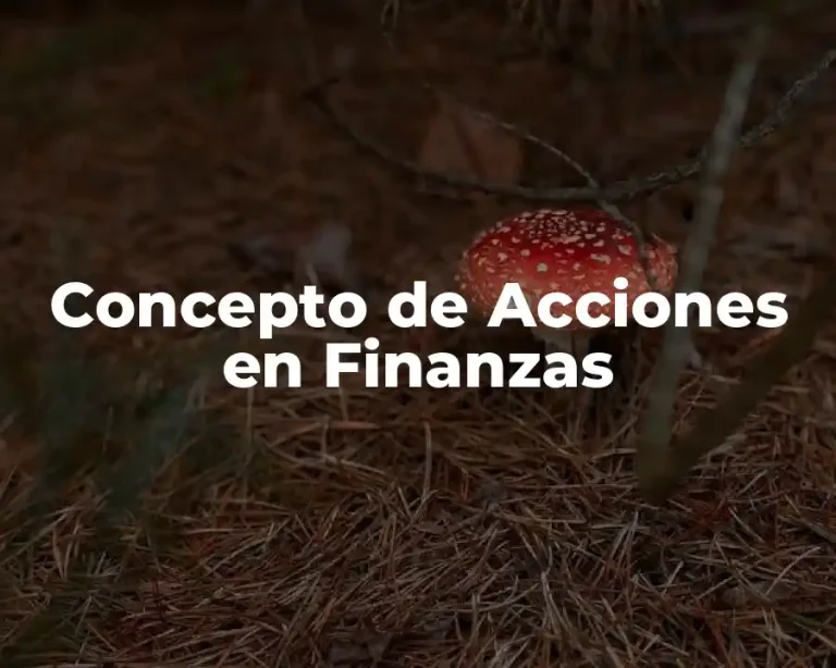 Concepto de Acciones en Finanzas