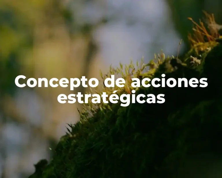 Concepto de acciones estratégicas