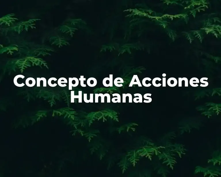 Concepto de Acciones Humanas