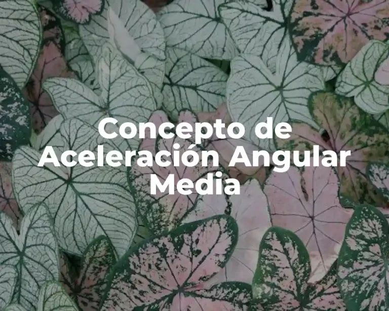 Concepto de Aceleración Angular Media
