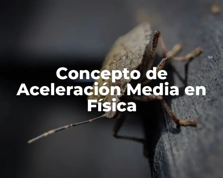 Concepto de Aceleración Media en Física