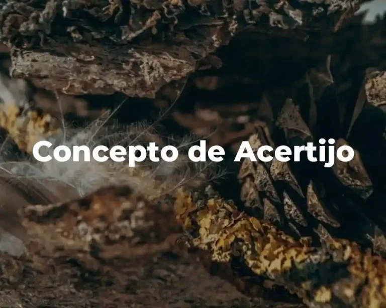 Concepto de Acertijo