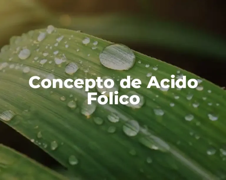 Concepto de Acido Fólico