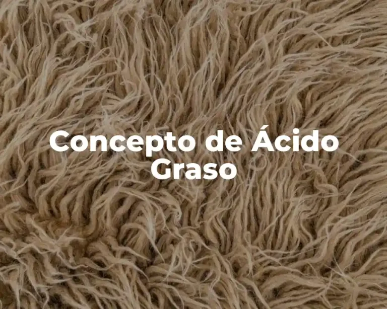 Concepto de Ácido Graso