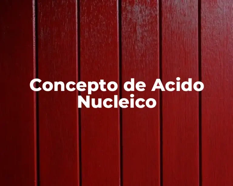 Concepto de Acido Nucleico