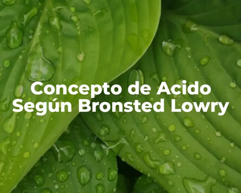 Concepto de Acido Según Bronsted Lowry