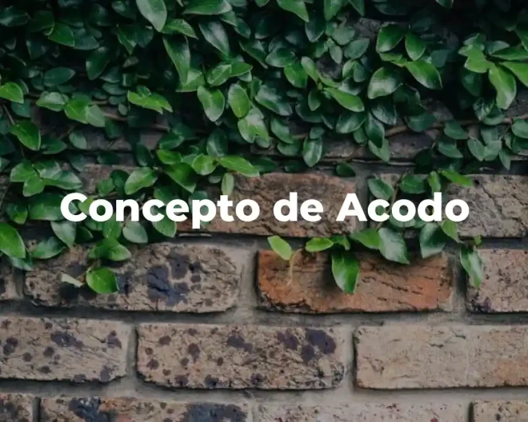 Concepto de Acodo