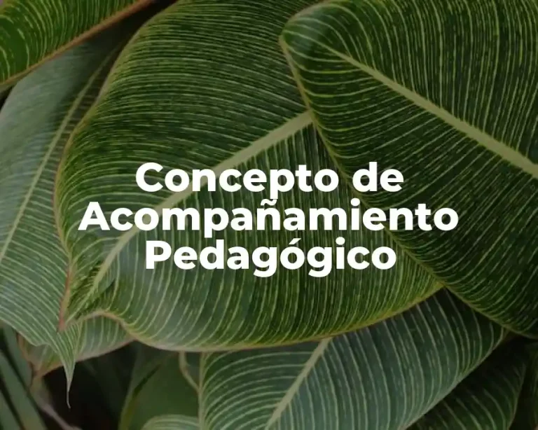 Concepto de Acompañamiento Pedagógico