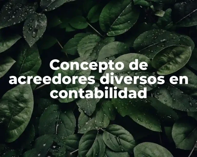 Concepto de acreedores diversos en contabilidad