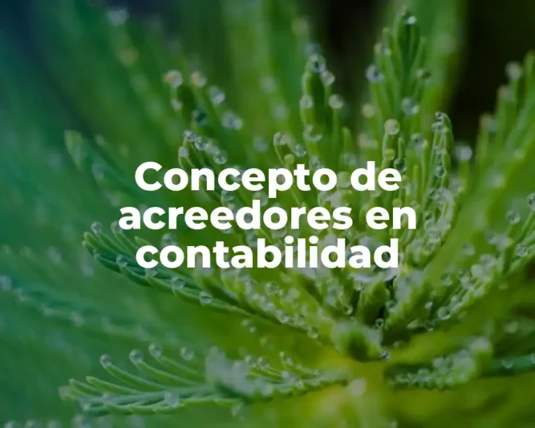 Concepto de acreedores en contabilidad