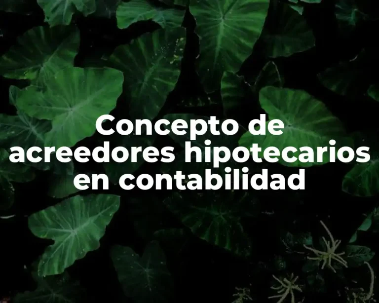 Concepto de acreedores hipotecarios en contabilidad