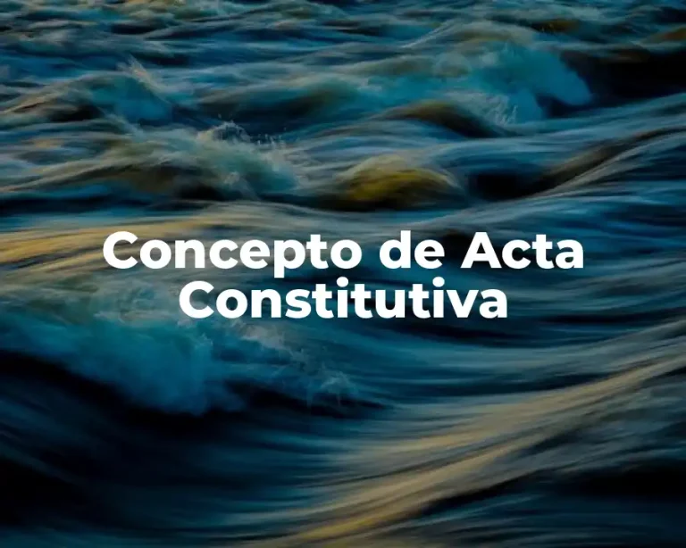 Concepto de Acta Constitutiva