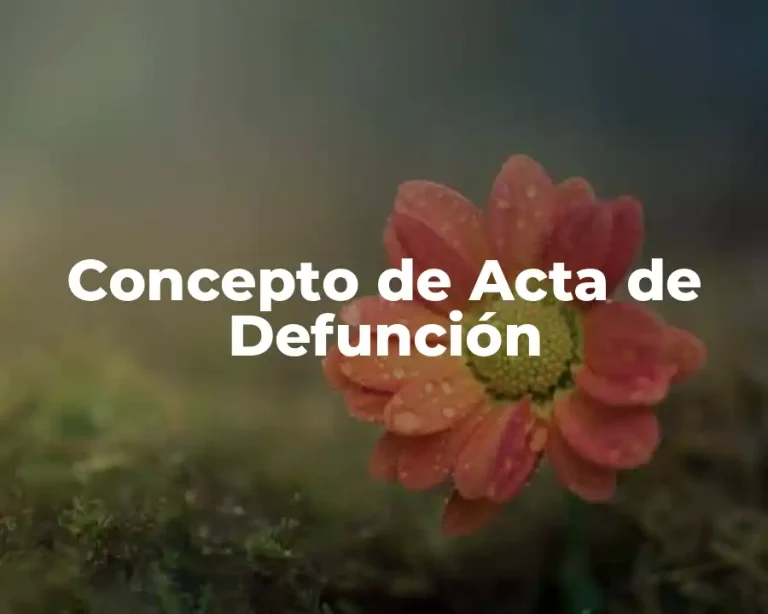Concepto de Acta de Defunción