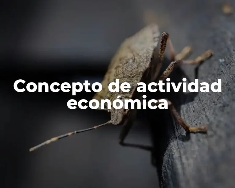 Concepto de actividad económica