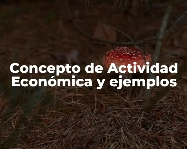 Concepto de Actividad Económica y ejemplos
