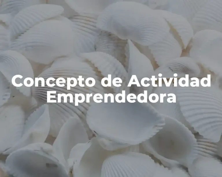 Concepto de Actividad Emprendedora
