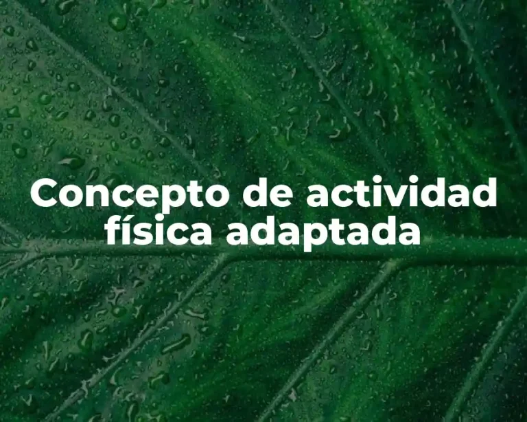 Concepto de actividad física adaptada