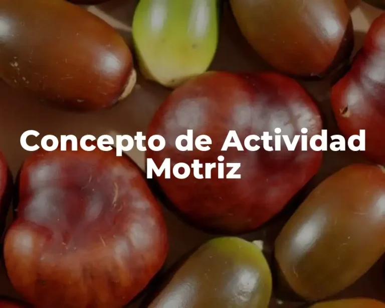 Concepto de Actividad Motriz