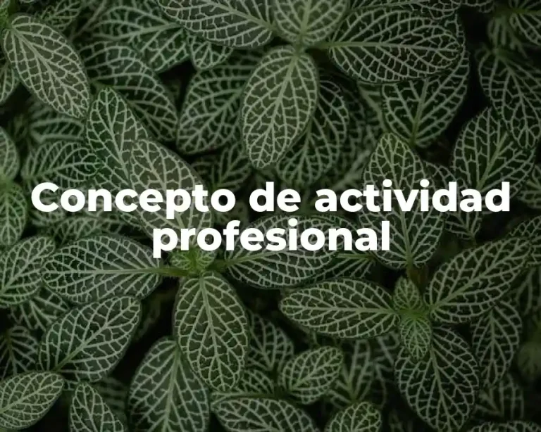 Concepto de actividad profesional