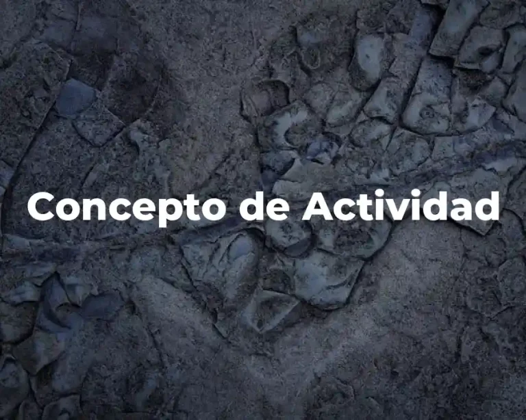 Concepto de Actividad