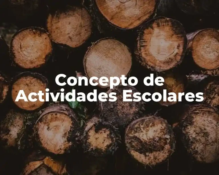 Concepto de Actividades Escolares
