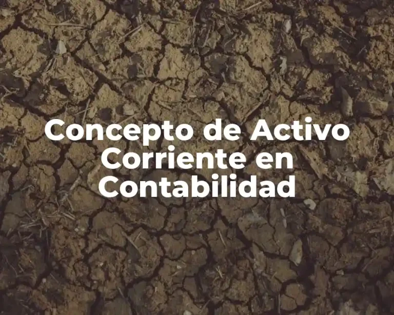 Concepto de Activo Corriente en Contabilidad