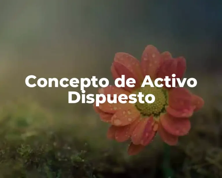 Concepto de Activo Dispuesto