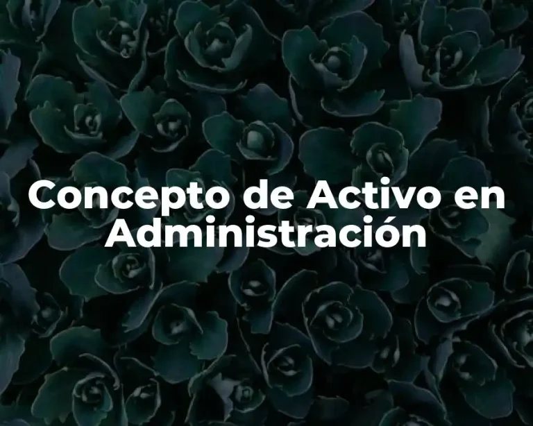 Concepto de Activo en Administración