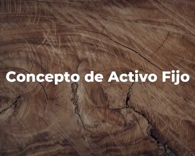 Concepto de Activo Fijo